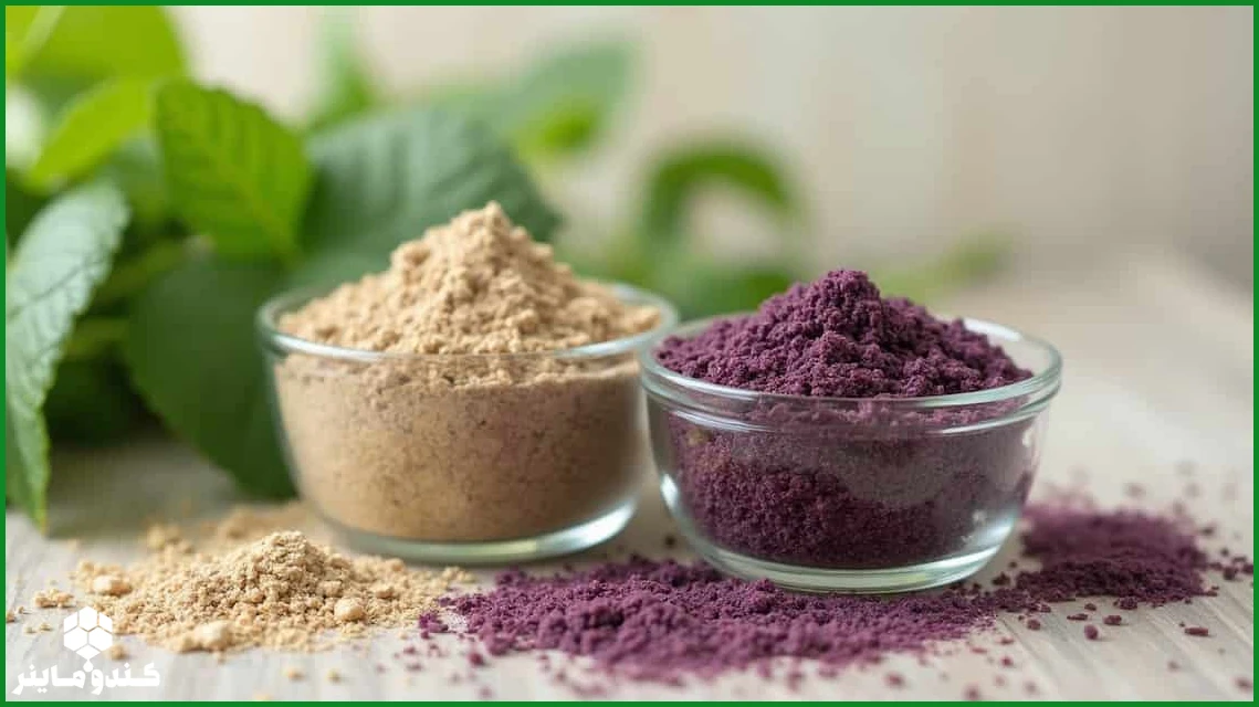 با 9 خواص پودر سنجد و عسل طبیعی و نحوه مصرف آشنا شوید