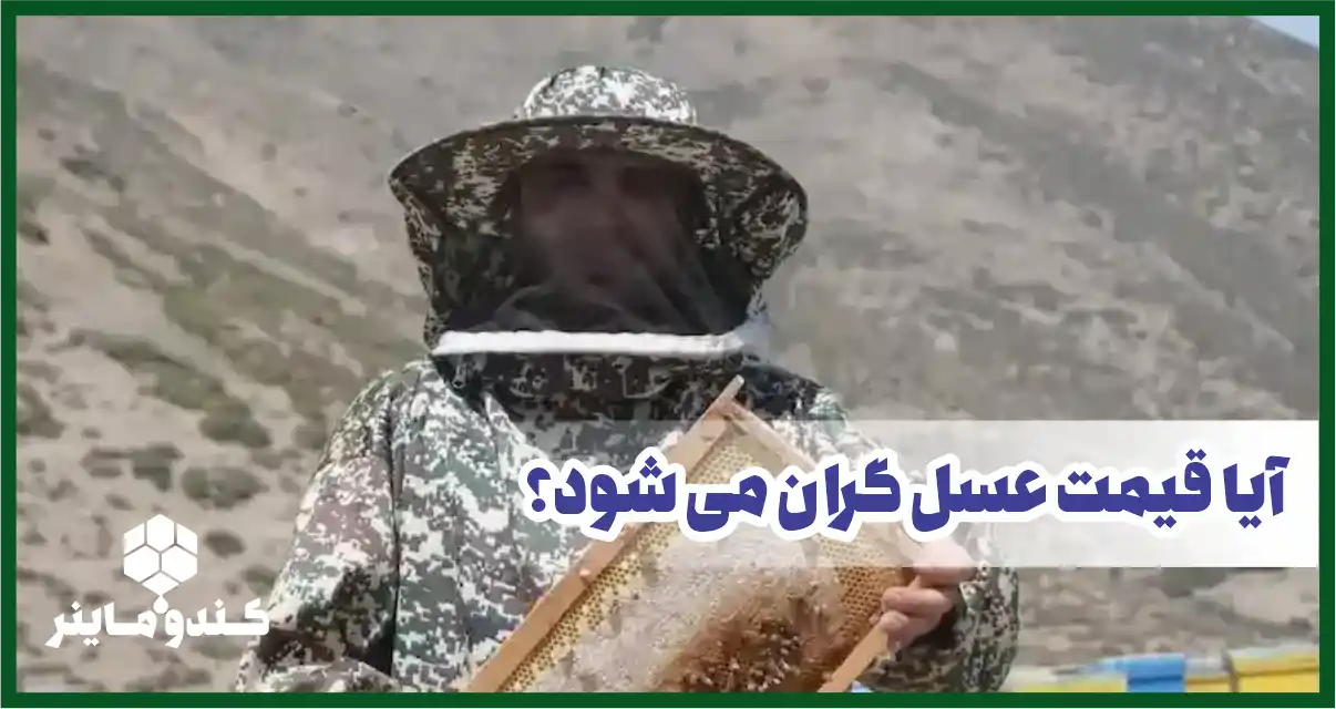 آیا عسل طبیعی گران می شود؟